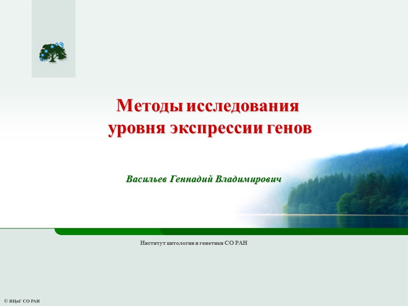 Васильев Геннадий Владимирович Методы исследования  уровня экспрессии генов Институт цитологии и генетики СО